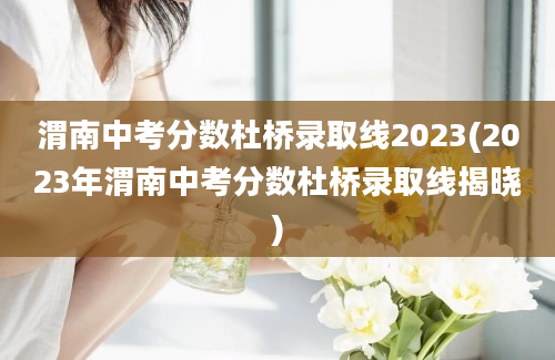 渭南中考分数杜桥录取线2023(2023年渭南中考分数杜桥录取线揭晓)