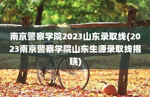 南京警察学院2023山东录取线(2023南京警察学院山东生源录取线揭晓)