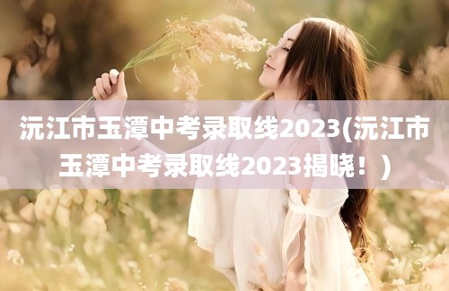 沅江市玉潭中考录取线2023(沅江市玉潭中考录取线2023揭晓！)