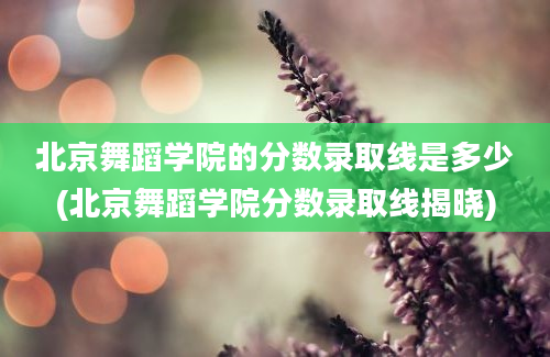 北京舞蹈学院的分数录取线是多少(北京舞蹈学院分数录取线揭晓)