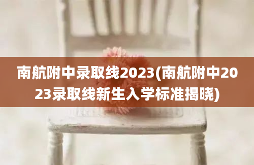 南航附中录取线2023(南航附中2023录取线新生入学标准揭晓)