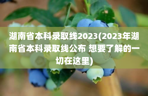 湖南省本科录取线2023(2023年湖南省本科录取线公布 想要了解的一切在这里)