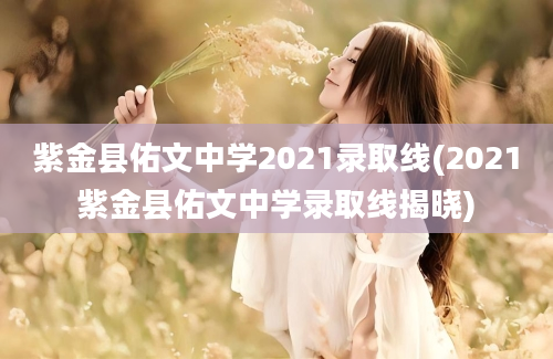 紫金县佑文中学2021录取线(2021紫金县佑文中学录取线揭晓)