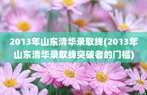 2013年山东清华录取线(2013年山东清华录取线突破者的门槛)