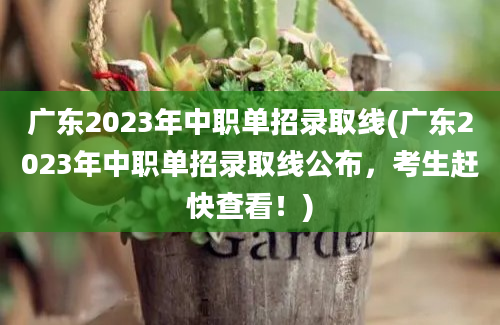 广东2023年中职单招录取线(广东2023年中职单招录取线公布，考生赶快查看！)