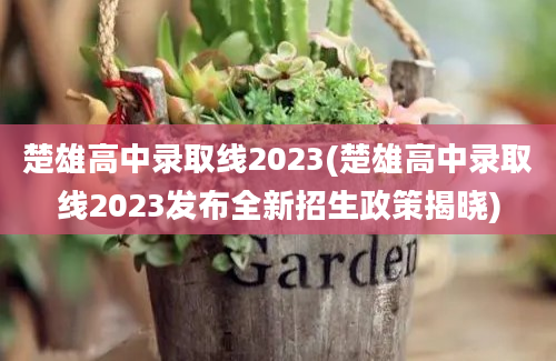 楚雄高中录取线2023(楚雄高中录取线2023发布全新招生政策揭晓)