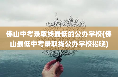 佛山中考录取线最低的公办学校(佛山最低中考录取线公办学校揭晓)