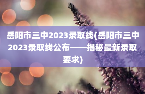 岳阳市三中2023录取线(岳阳市三中2023录取线公布——揭秘最新录取要求)