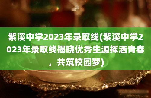 紫溪中学2023年录取线(紫溪中学2023年录取线揭晓优秀生源挥洒青春，共筑校园梦)