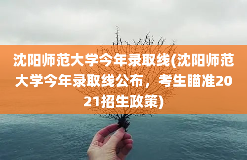 沈阳师范大学今年录取线(沈阳师范大学今年录取线公布，考生瞄准2021招生政策)