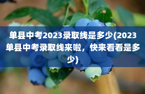 单县中考2023录取线是多少(2023单县中考录取线来啦，快来看看是多少)