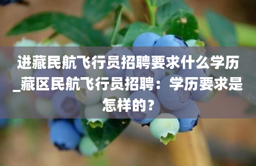 进藏民航飞行员招聘要求什么学历_藏区民航飞行员招聘：学历要求是怎样的？