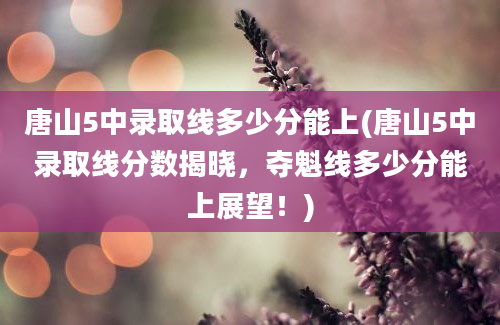 唐山5中录取线多少分能上(唐山5中录取线分数揭晓，夺魁线多少分能上展望！)