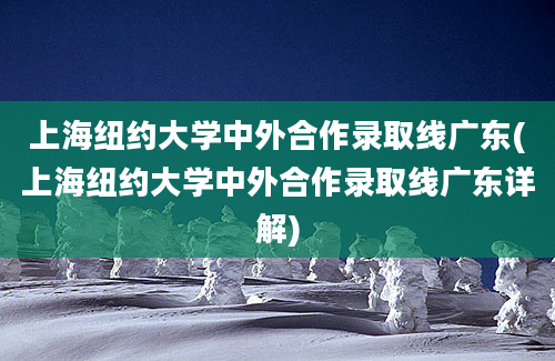 上海纽约大学中外合作录取线广东(上海纽约大学中外合作录取线广东详解)