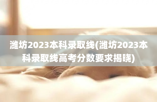 潍坊2023本科录取线(潍坊2023本科录取线高考分数要求揭晓)