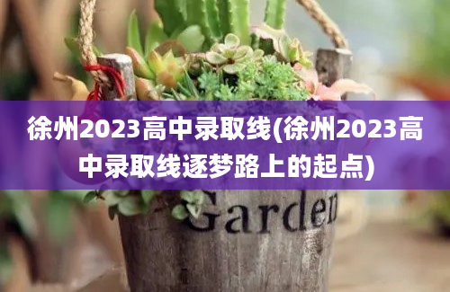 徐州2023高中录取线(徐州2023高中录取线逐梦路上的起点)