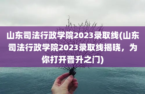 山东司法行政学院2023录取线(山东司法行政学院2023录取线揭晓，为你打开晋升之门)