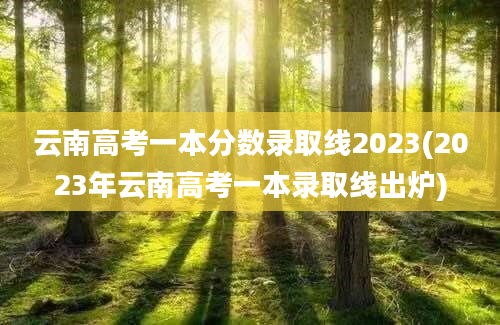 云南高考一本分数录取线2023(2023年云南高考一本录取线出炉)