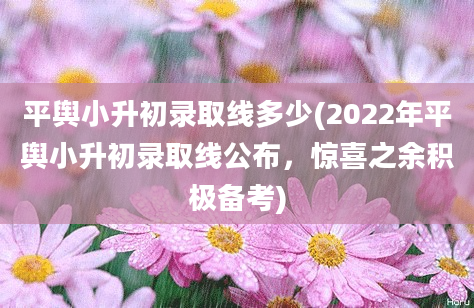 平舆小升初录取线多少(2022年平舆小升初录取线公布，惊喜之余积极备考)