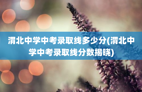 渭北中学中考录取线多少分(渭北中学中考录取线分数揭晓)