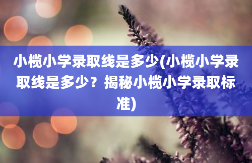 小榄小学录取线是多少(小榄小学录取线是多少？揭秘小榄小学录取标准)