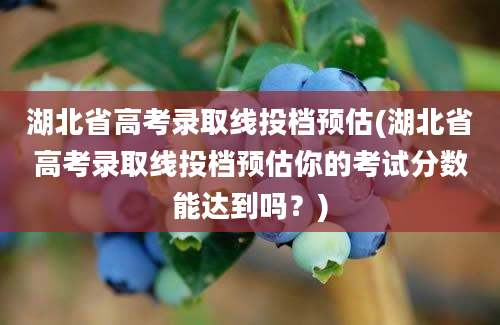 湖北省高考录取线投档预估(湖北省高考录取线投档预估你的考试分数能达到吗？)