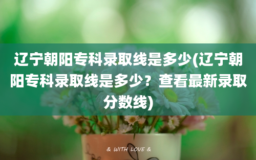 辽宁朝阳专科录取线是多少(辽宁朝阳专科录取线是多少？查看最新录取分数线)