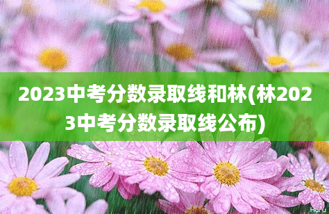 2023中考分数录取线和林(林2023中考分数录取线公布)