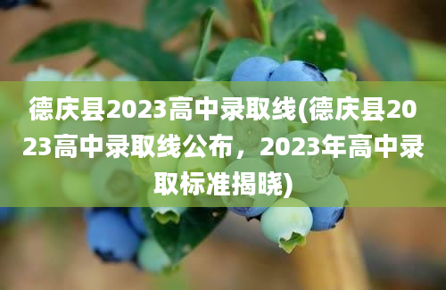 德庆县2023高中录取线(德庆县2023高中录取线公布，2023年高中录取标准揭晓)