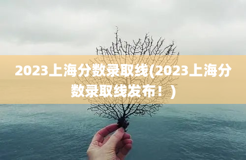 2023上海分数录取线(2023上海分数录取线发布！)