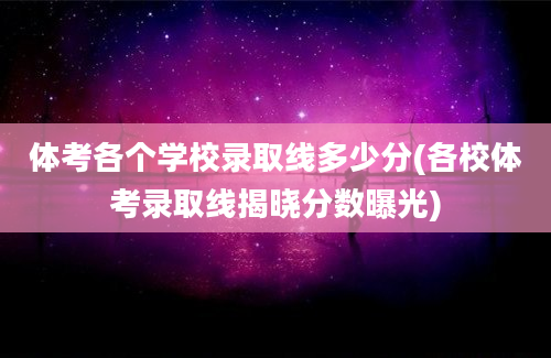 体考各个学校录取线多少分(各校体考录取线揭晓分数曝光)