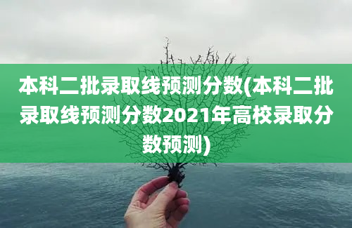 本科二批录取线预测分数(本科二批录取线预测分数2021年高校录取分数预测)