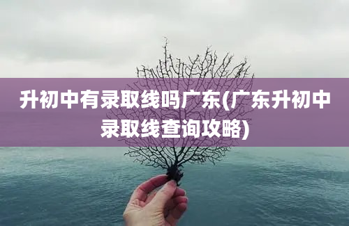 升初中有录取线吗广东(广东升初中录取线查询攻略)