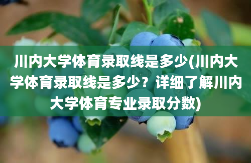 川内大学体育录取线是多少(川内大学体育录取线是多少？详细了解川内大学体育专业录取分数)