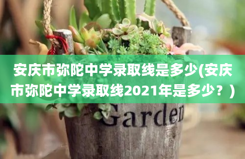 安庆市弥陀中学录取线是多少(安庆市弥陀中学录取线2021年是多少？)