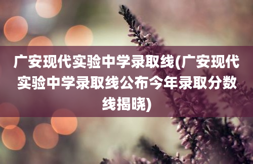 广安现代实验中学录取线(广安现代实验中学录取线公布今年录取分数线揭晓)