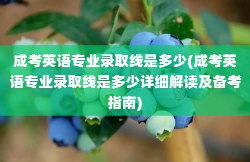 成考英语专业录取线是多少(成考英语专业录取线是多少详细解读及备考指南)