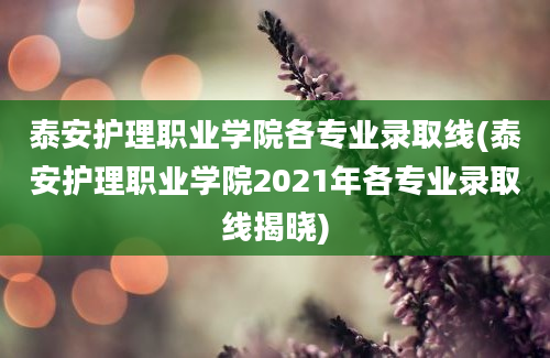 泰安护理职业学院各专业录取线(泰安护理职业学院2021年各专业录取线揭晓)