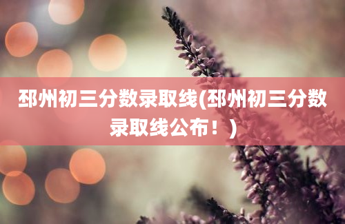 邳州初三分数录取线(邳州初三分数录取线公布！)