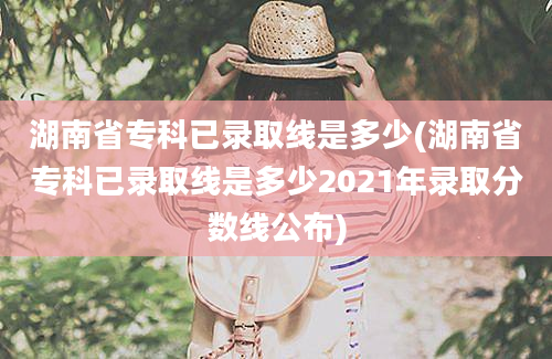 湖南省专科已录取线是多少(湖南省专科已录取线是多少2021年录取分数线公布)