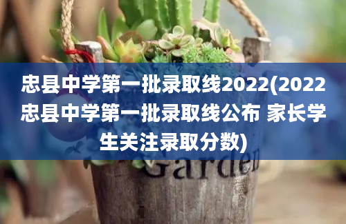 忠县中学第一批录取线2022(2022忠县中学第一批录取线公布 家长学生关注录取分数)