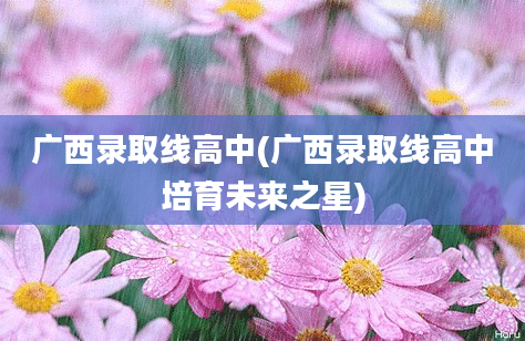 广西录取线高中(广西录取线高中培育未来之星)