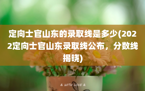 定向士官山东的录取线是多少(2022定向士官山东录取线公布，分数线揭晓)