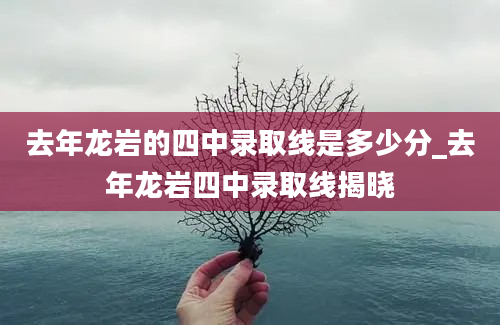 去年龙岩的四中录取线是多少分_去年龙岩四中录取线揭晓