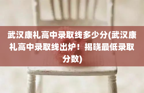 武汉康礼高中录取线多少分(武汉康礼高中录取线出炉！揭晓最低录取分数)