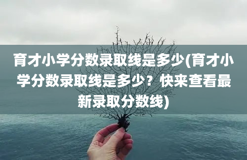 育才小学分数录取线是多少(育才小学分数录取线是多少？快来查看最新录取分数线)