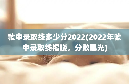 虢中录取线多少分2022(2022年虢中录取线揭晓，分数曝光)