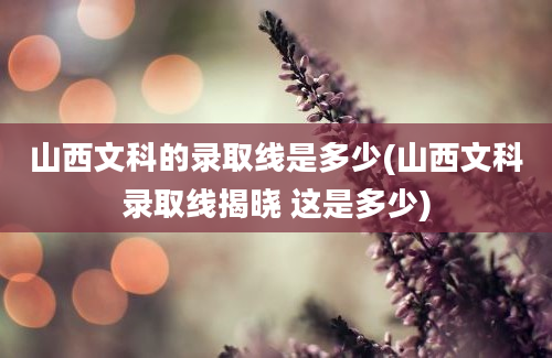 山西文科的录取线是多少(山西文科录取线揭晓 这是多少)