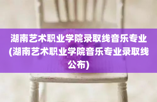 湖南艺术职业学院录取线音乐专业(湖南艺术职业学院音乐专业录取线公布)