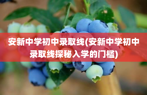 安新中学初中录取线(安新中学初中录取线探秘入学的门槛)